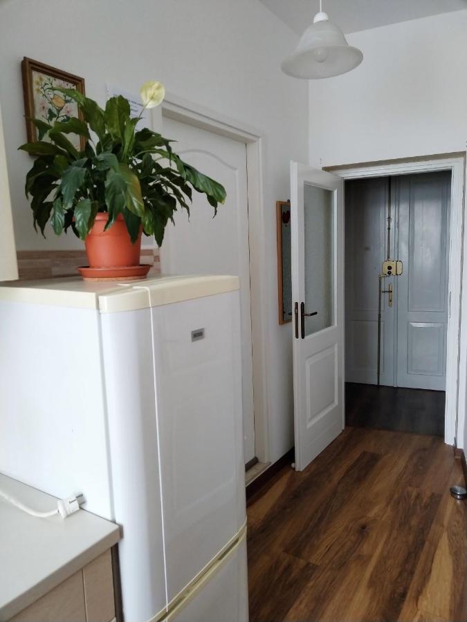Studio Apartments Dalla Nonna Ровинь Экстерьер фото